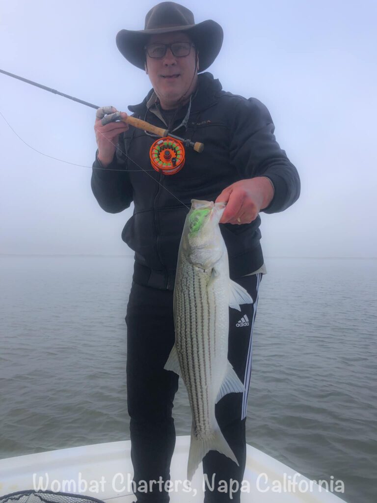 Saltwater Fly Fishing for Striped Bass on the Napa River.