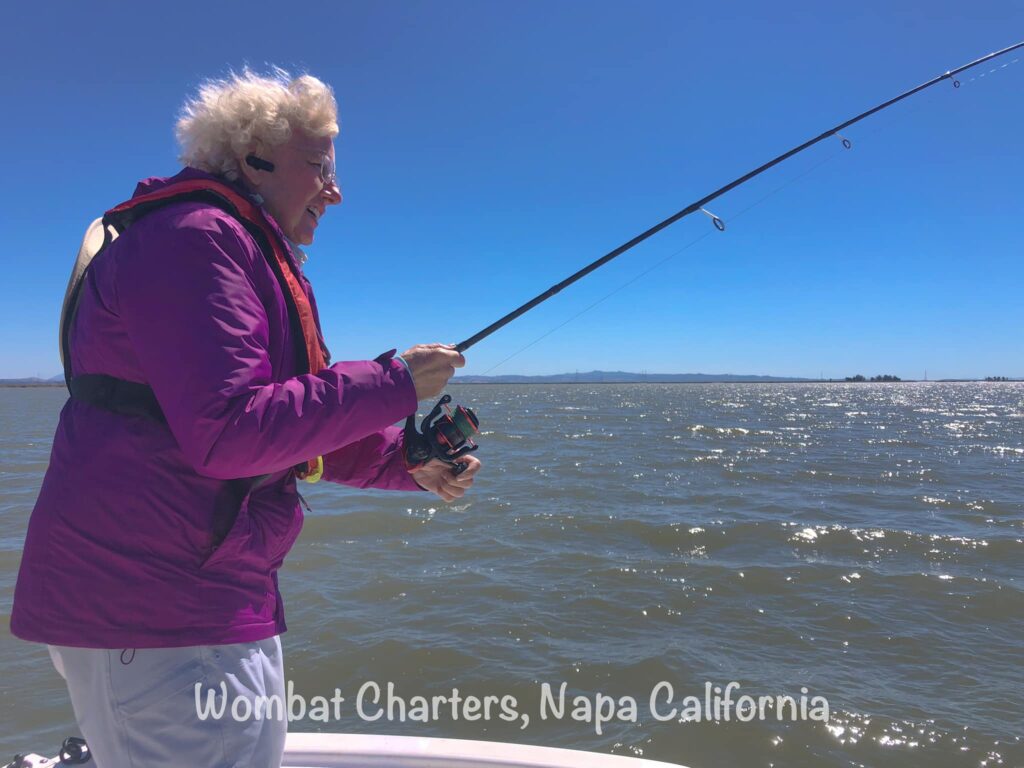 Lady angler fighting a Striped Bass on the Napa River with Wombat Charters.