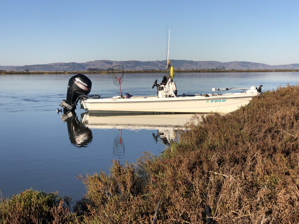 Napa River boat cruises and wetlands tours. Fishing and sightseeing birds and wildlife on the Napa River by boat.