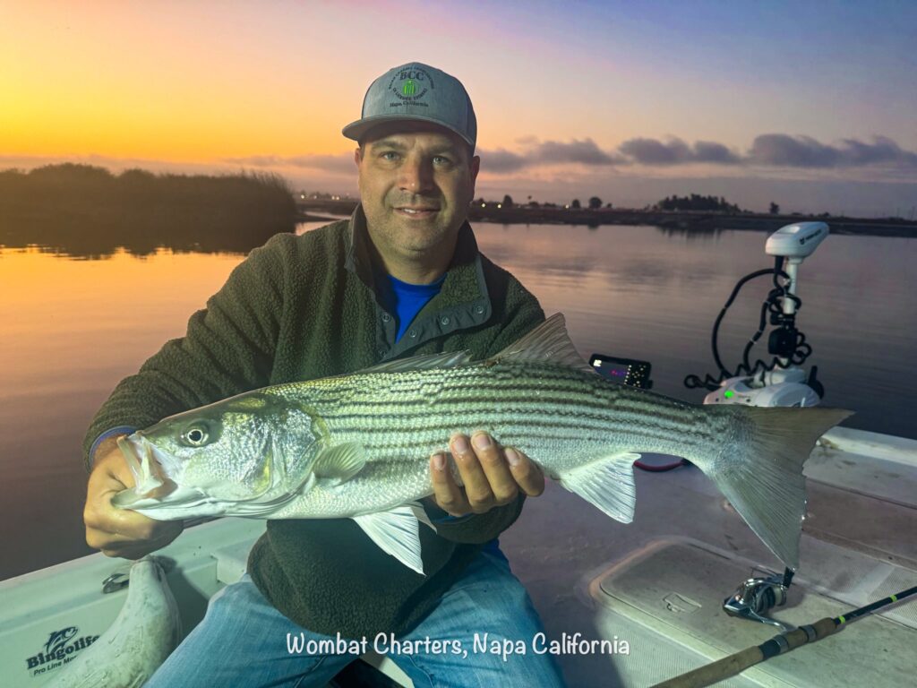 Napa River Stripers 2025 Season