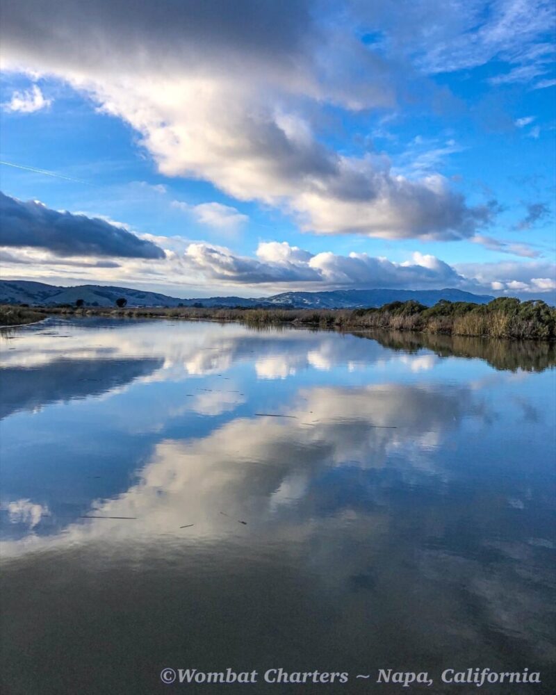 Calm waters with the sky reflecting on the Napa River wetlands during a Wombat Charters scenic boat cruise.