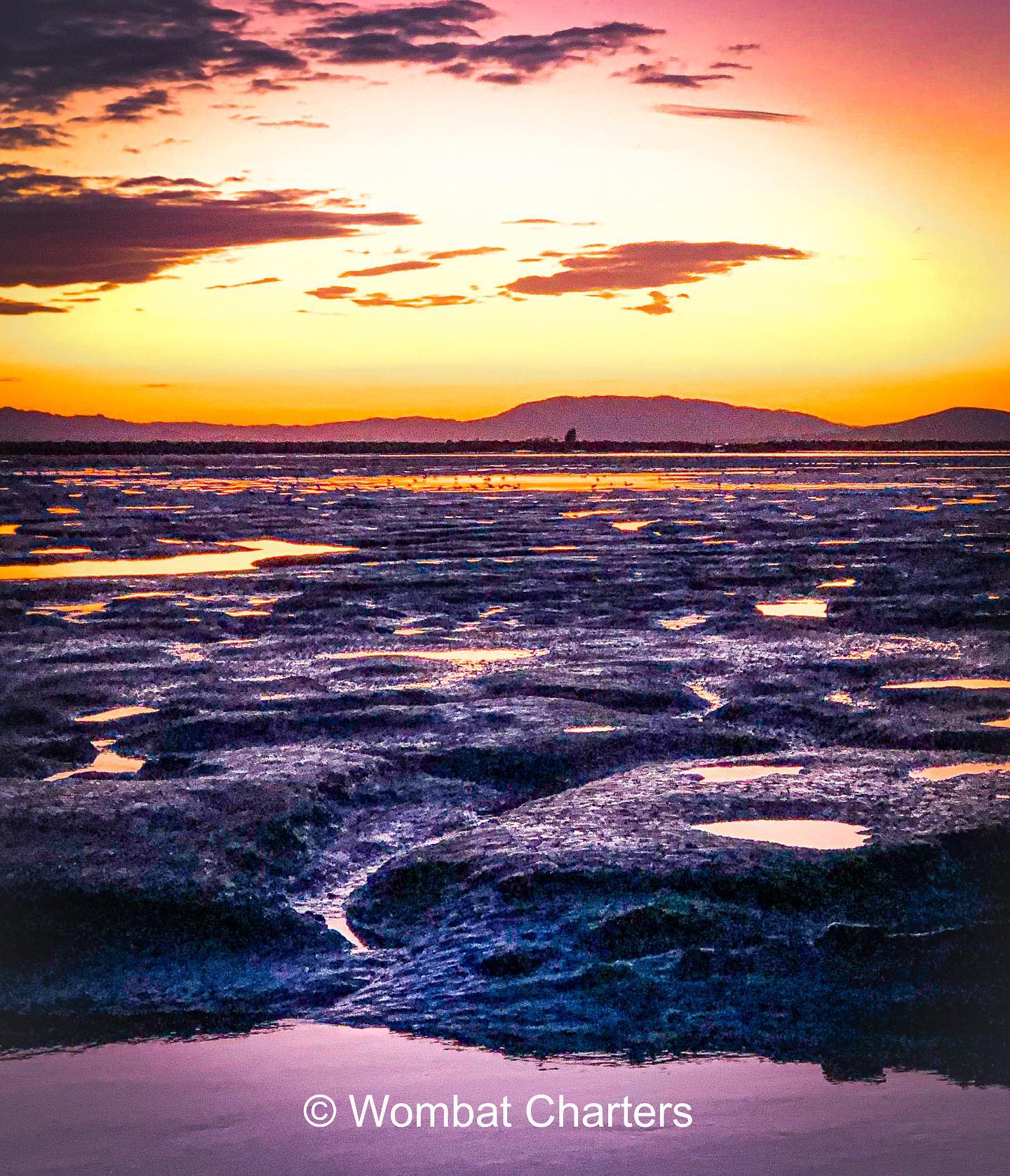 Sunset at low tide exposes the mudflats and leaves colorful pools in the San Pablo Bay National Wildlife Refuge.