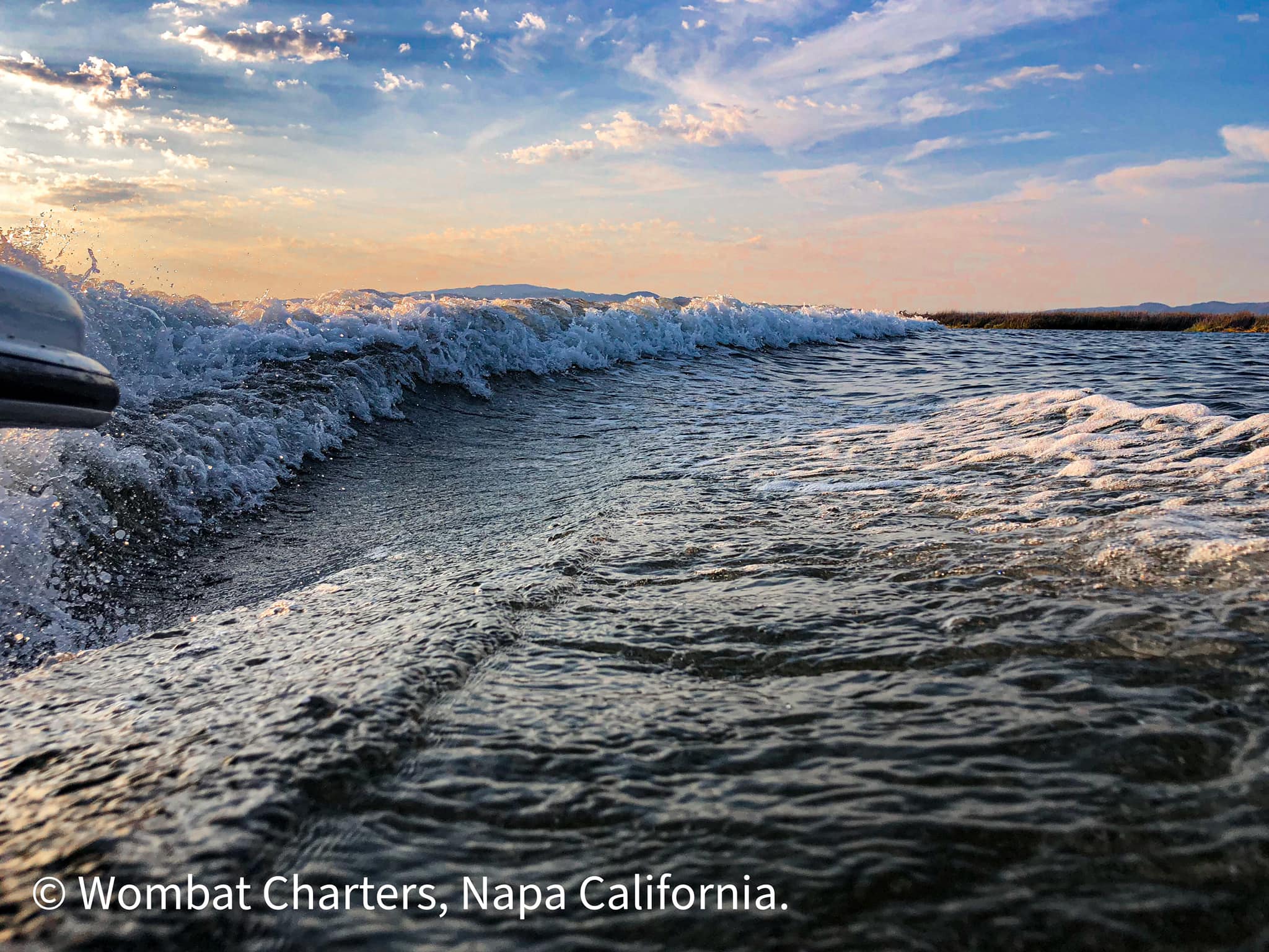 The wake behind the boat on a Napa River Cruise with Wombat Charters. Napa, California.