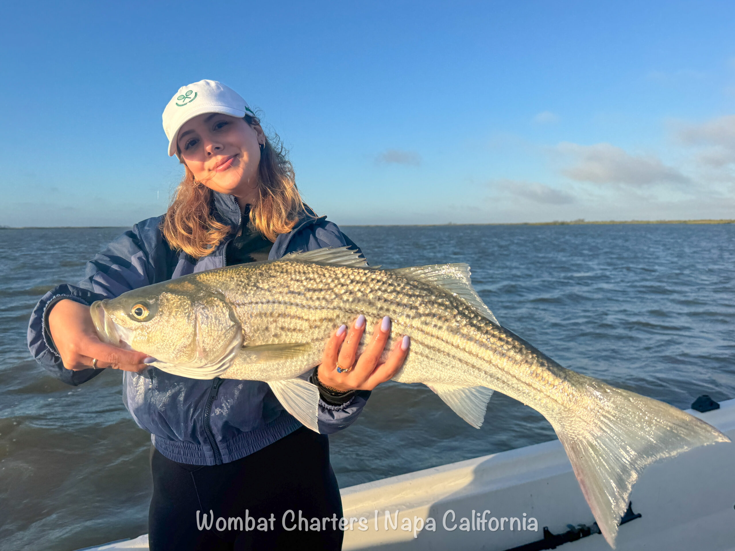 napa river guided fishing charters for big striped bass