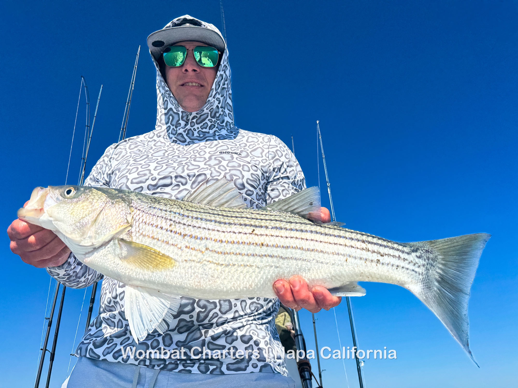 Napa River Guided Fishing Charter 9/18