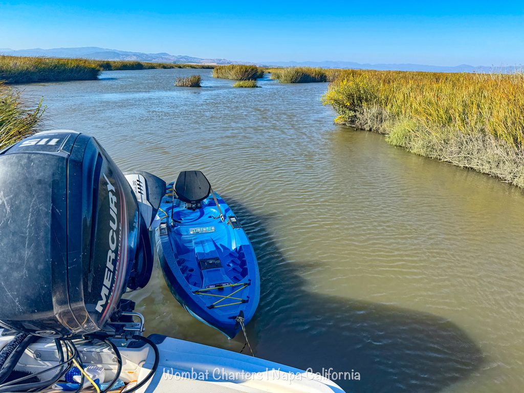 Napa River Kayak Tours by boat deep into the heart of the Napa-Sonoma Marshes