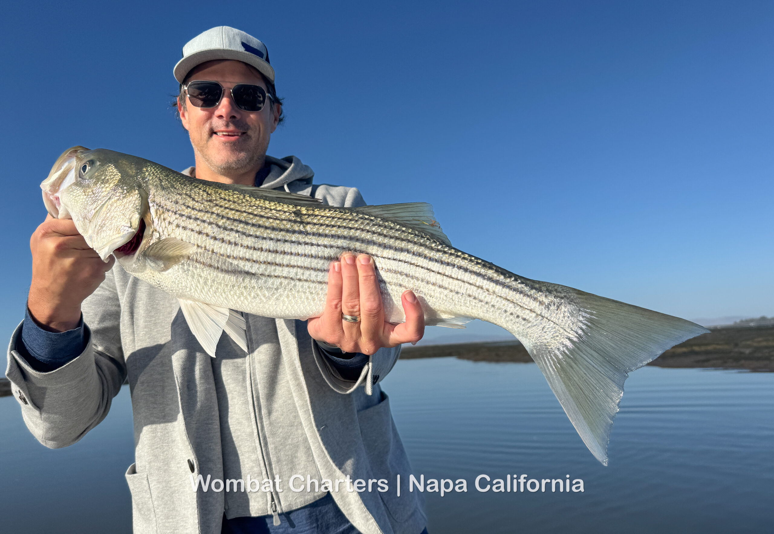Striped Bass caught with Capt Aussie Bob on a Napa River Guided Fishing Charter