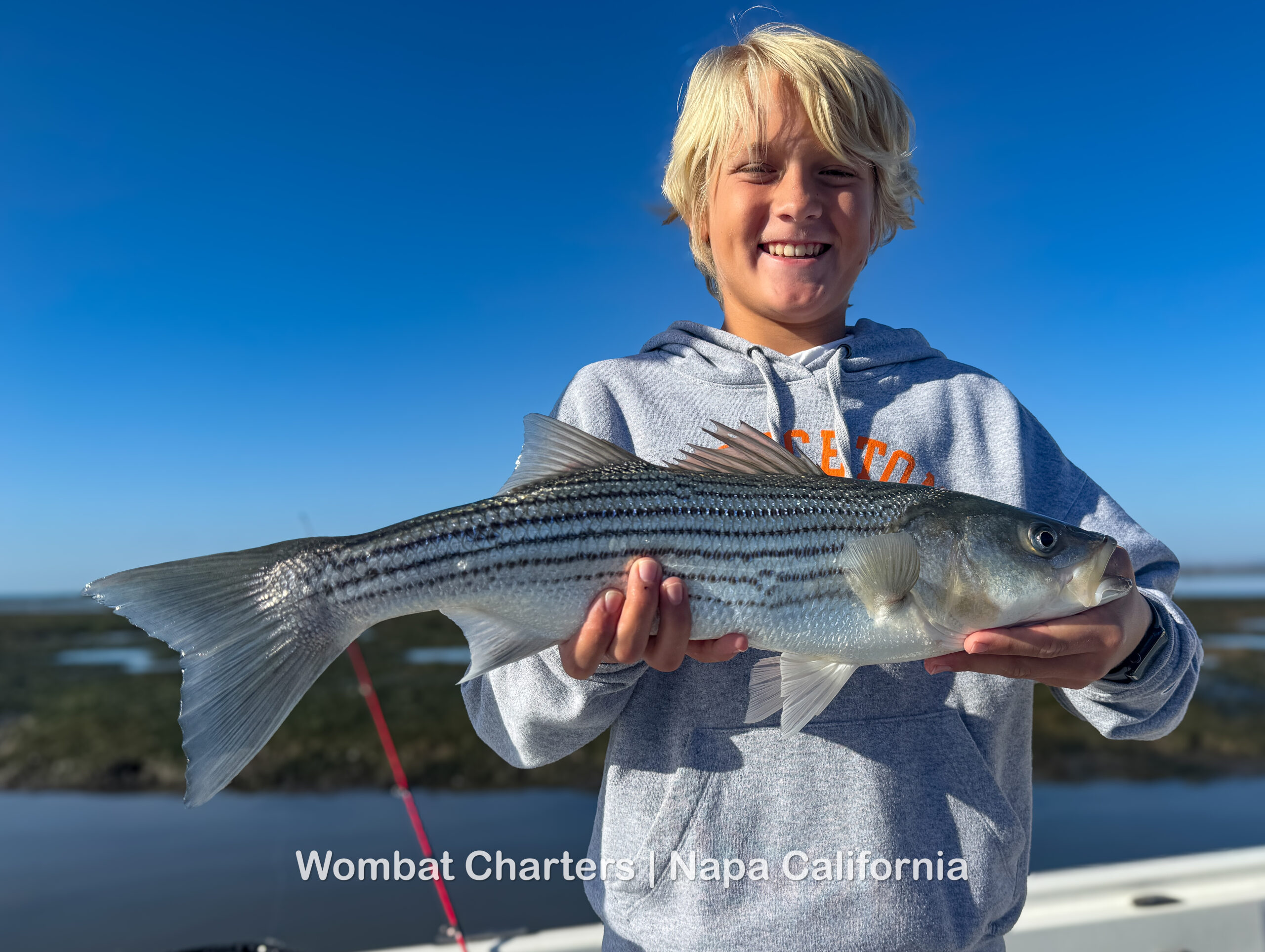 Striped Bass caught with Capt Aussie Bob on a Napa River Guided Fishing Charter. Kids are welcome and lessons are given freely.