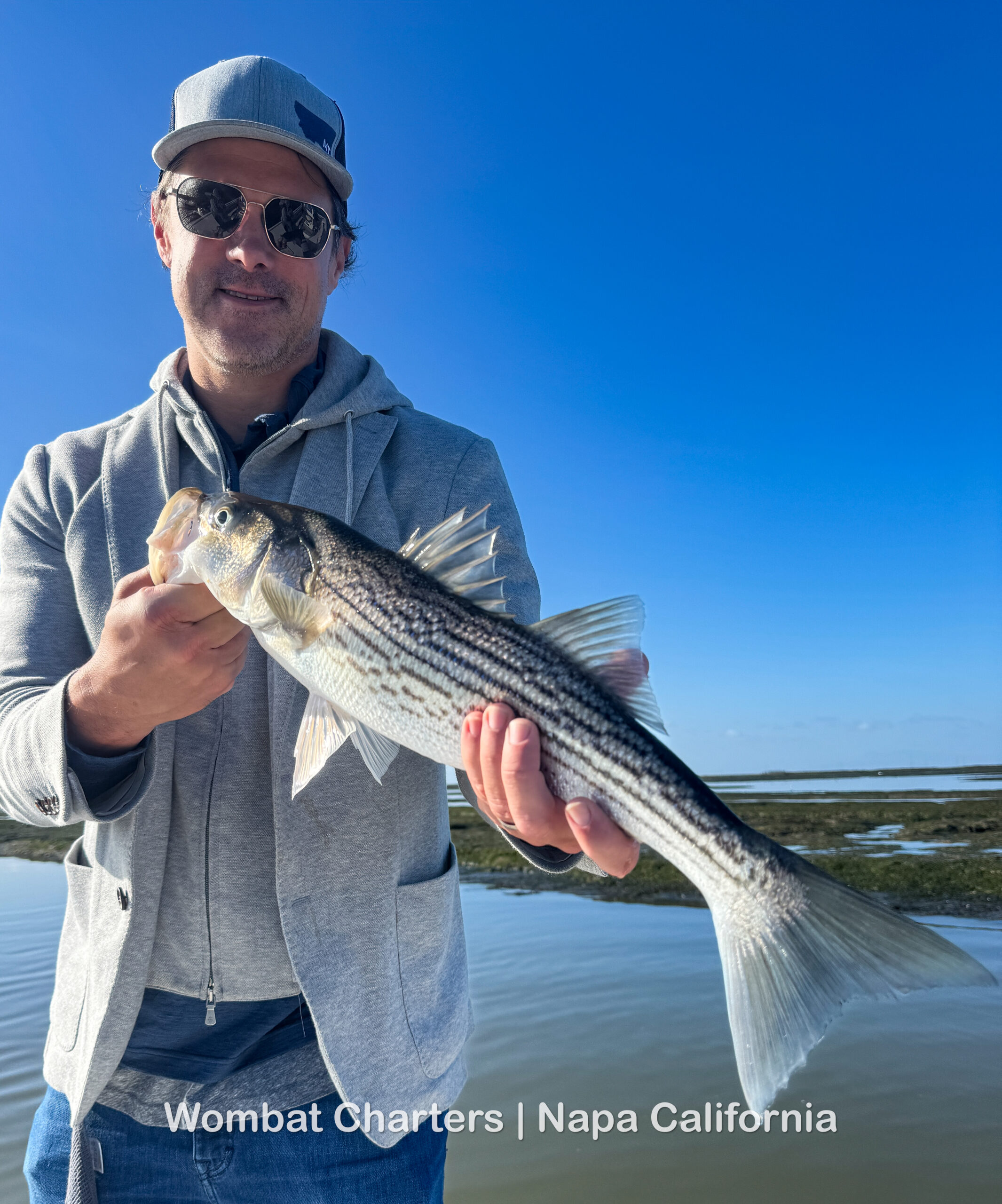 Striped Bass caught with Capt Aussie Bob on a Napa River Guided Fishing Charter. 
