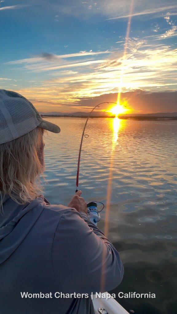 Capt. Aussie Bob, rod bending. Hooked into another Napa River Striper at sunset