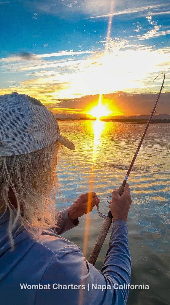 Capt. Aussie Bob, hooked into a Napa River Striper at sunset